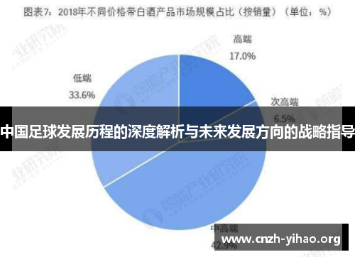 中国足球发展历程的深度解析与未来发展方向的战略指导 中国足球发展历程的深度解析与未来发展方向的战略指导
