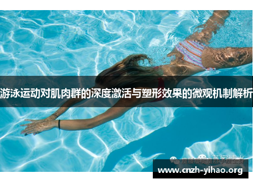 游泳运动对肌肉群的深度激活与塑形效果的微观机制解析 游泳运动对肌肉群的深度激活与塑形效果的微观机制解析