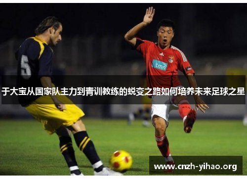 于大宝从国家队主力到青训教练的蜕变之路如何培养未来足球之星 于大宝从国家队主力到青训教练的蜕变之路如何培养未来足球之星