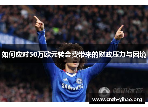 如何应对50万欧元转会费带来的财政压力与困境 如何应对50万欧元转会费带来的财政压力与困境