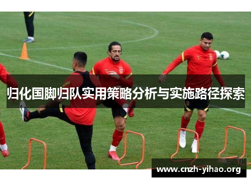 归化国脚归队实用策略分析与实施路径探索 归化国脚归队实用策略分析与实施路径探索