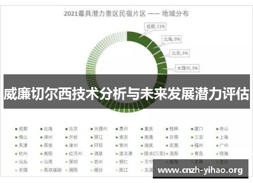 威廉切尔西技术分析与未来发展潜力评估 威廉切尔西技术分析与未来发展潜力评估