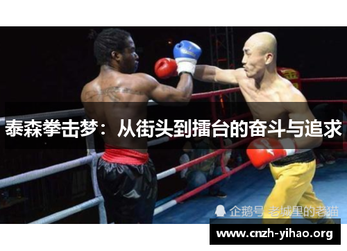 泰森拳击梦：从街头到擂台的奋斗与追求