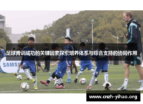 足球青训成功的关键因素探索培养体系与综合支持的协同作用