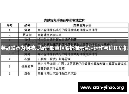 英冠联赛为何被质疑造假真相解析揭示背后运作与信任危机